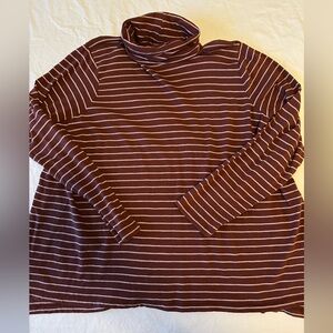 Madewell Whisper Cotton Turtleneck in Stripes